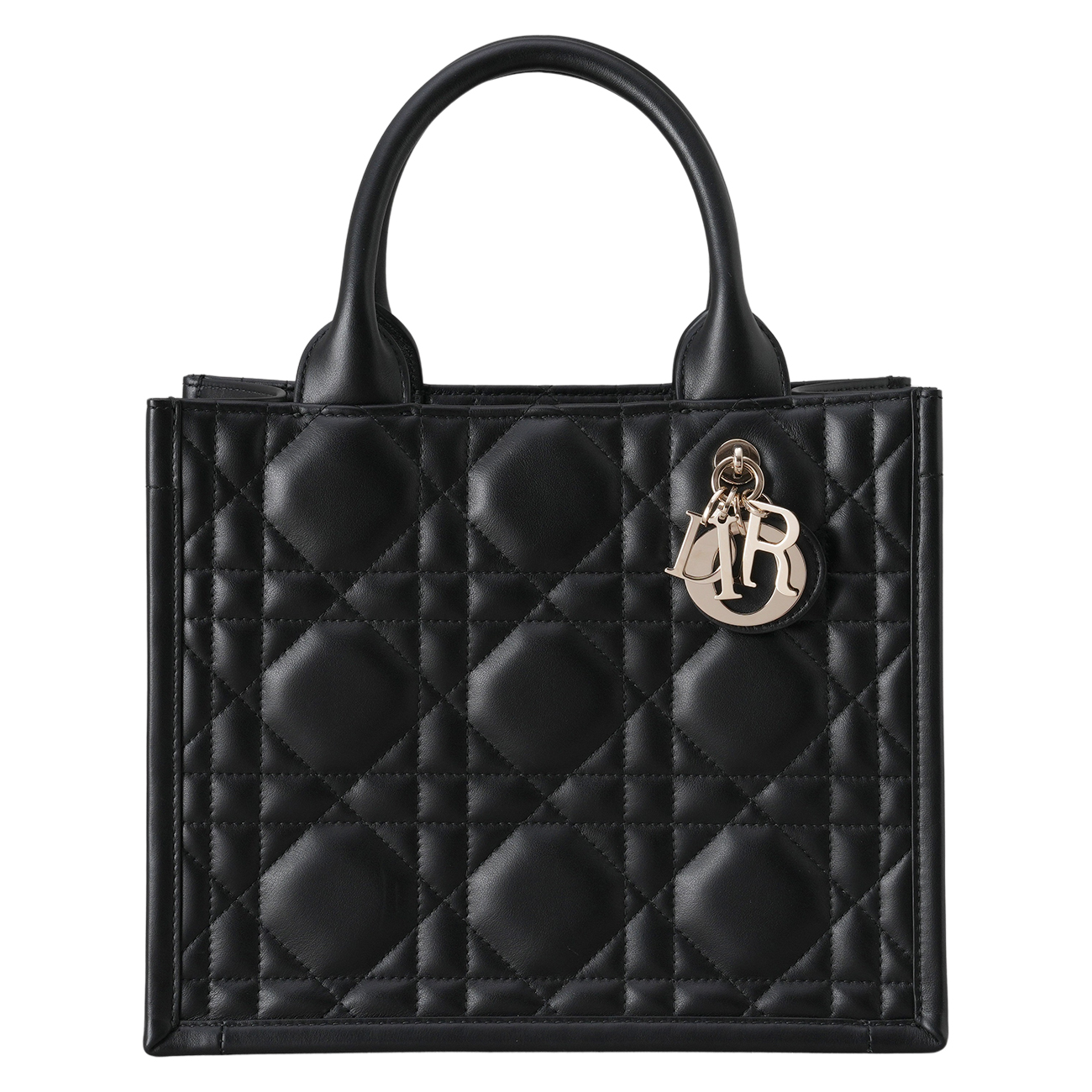 CHRISTIAN DIOR(USED)디올 북토트 스몰 매크로 까나쥬